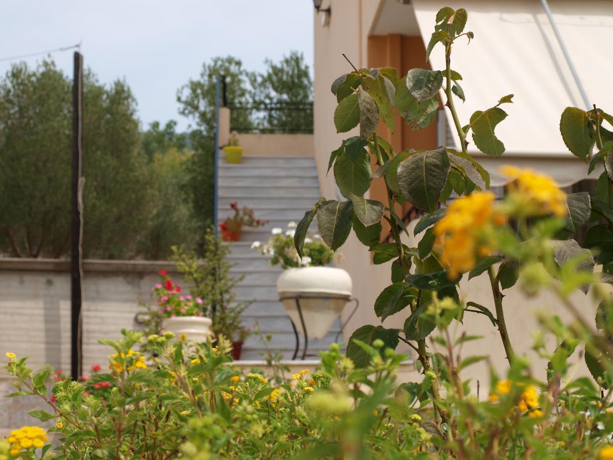 Aristotelis Apartments Razáta 객실 사진